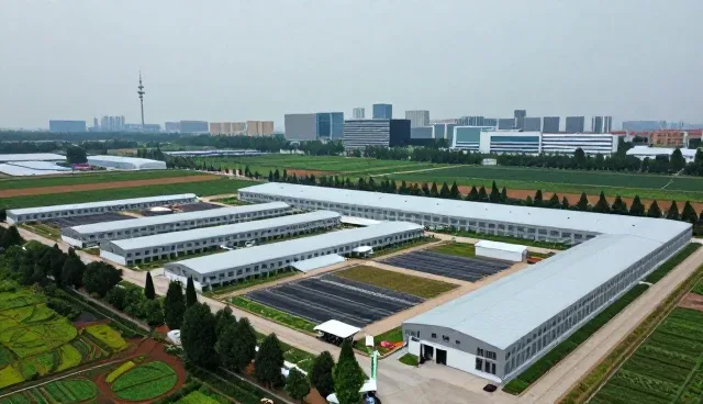 运维服务中技术转让应用的常见问题与处理方法