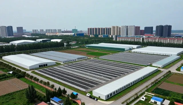 项目方案在技术开发中的实际应用与维护建议